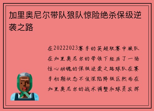 加里奥尼尔带队狼队惊险绝杀保级逆袭之路